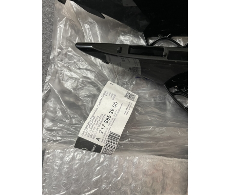 Lưới cản trước S450 W222 