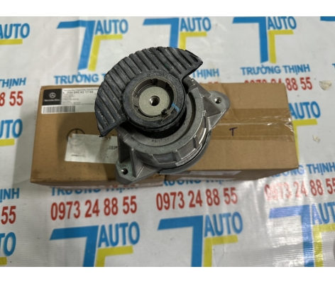 Cao su chân máy E250 W204