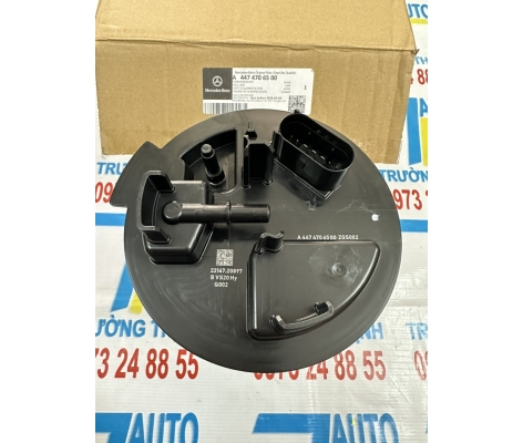 Bơm xăng V220 V250 W447 
