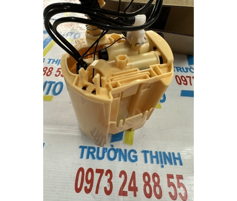 Bơm xăng V220 V250 W447 