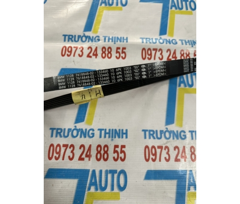 Dây curoa BMW X3 F25