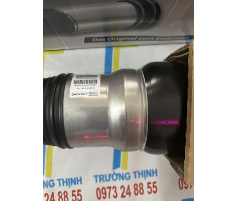 Nhún sau S400 S450 S500 W222
