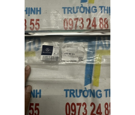 Nẹp Xi cửa trước S450 W222