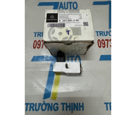 Van tiếc lưu giàn lạnh trước S400 S450 S500 W222