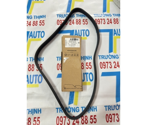 Dây curoa Audi Q7 6PK-1132